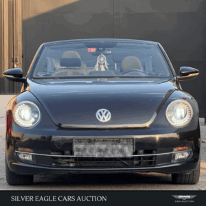 Volkswagen Beetle Turbo S 2016